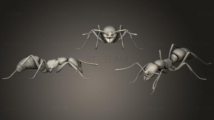 3D модель Тест на ходьбу муравья (STL)